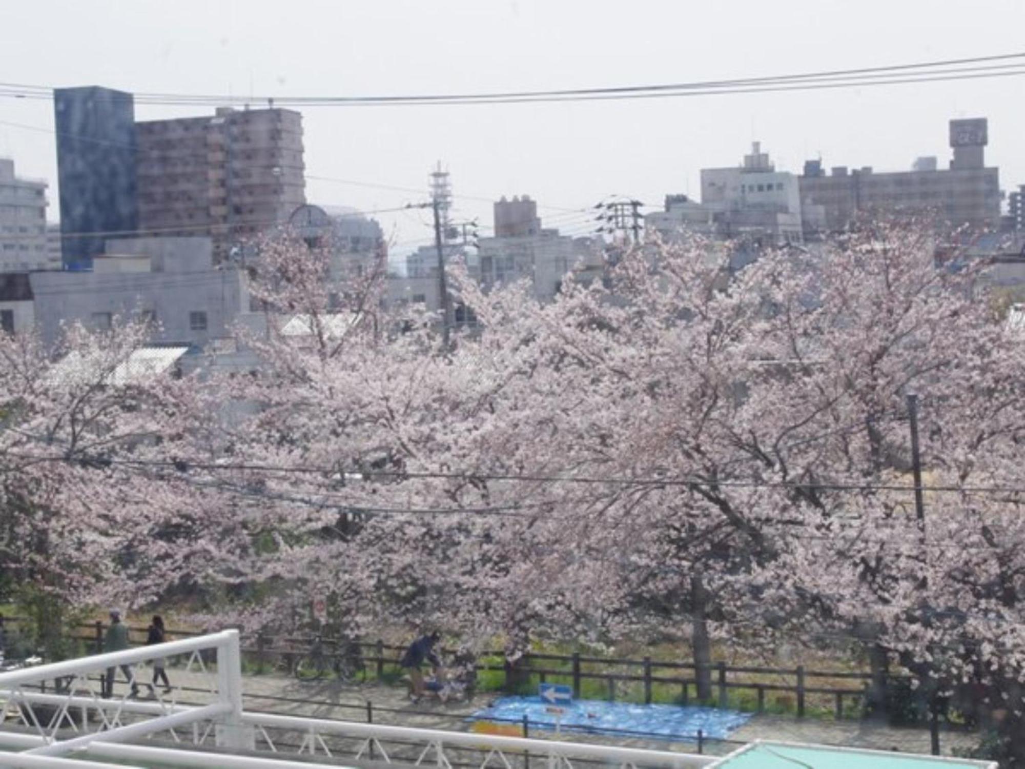 Tottori City Hotel / Vacation Stay 81355 Bagian luar foto